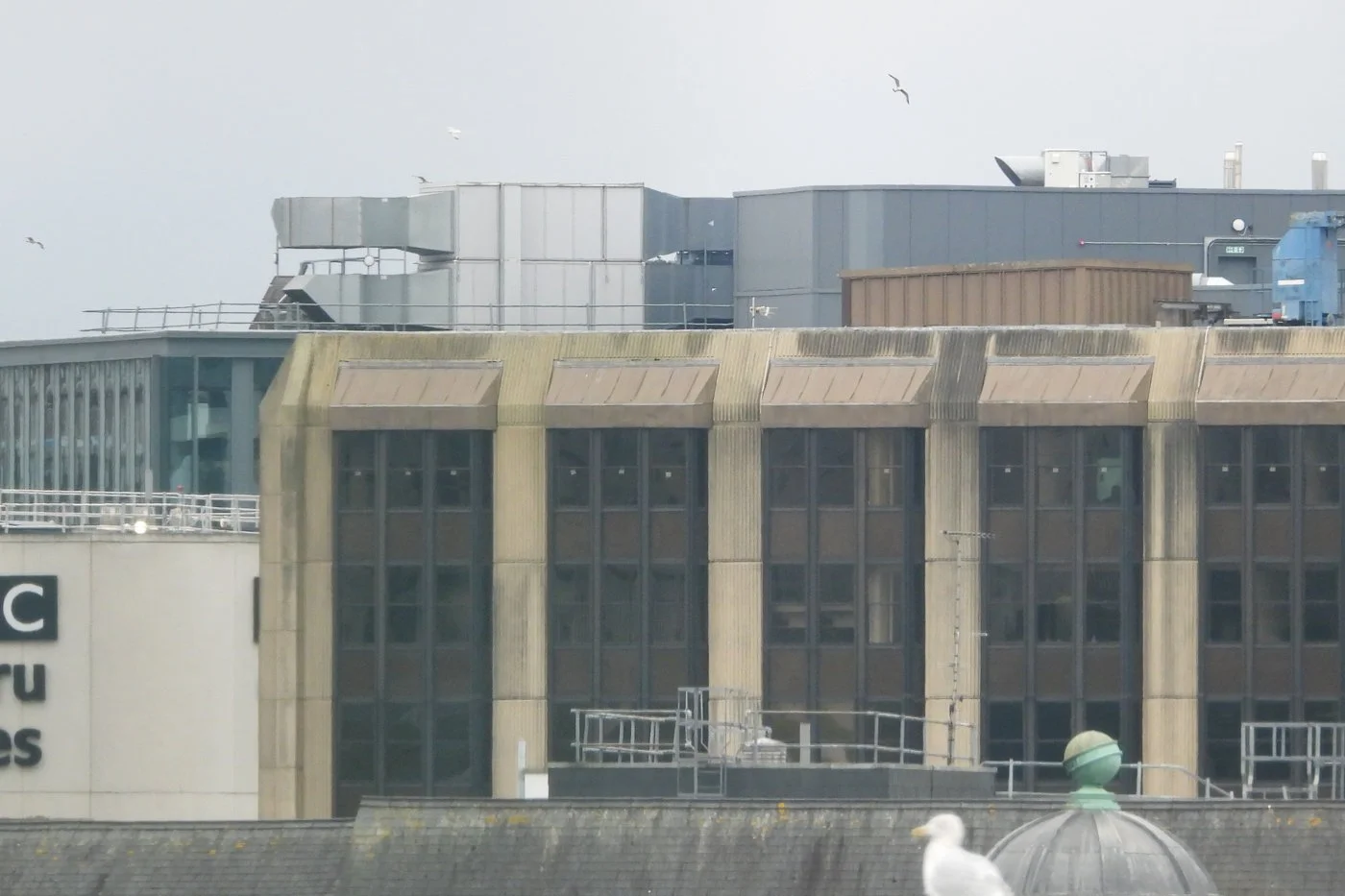 CARDIFF_119.jpg