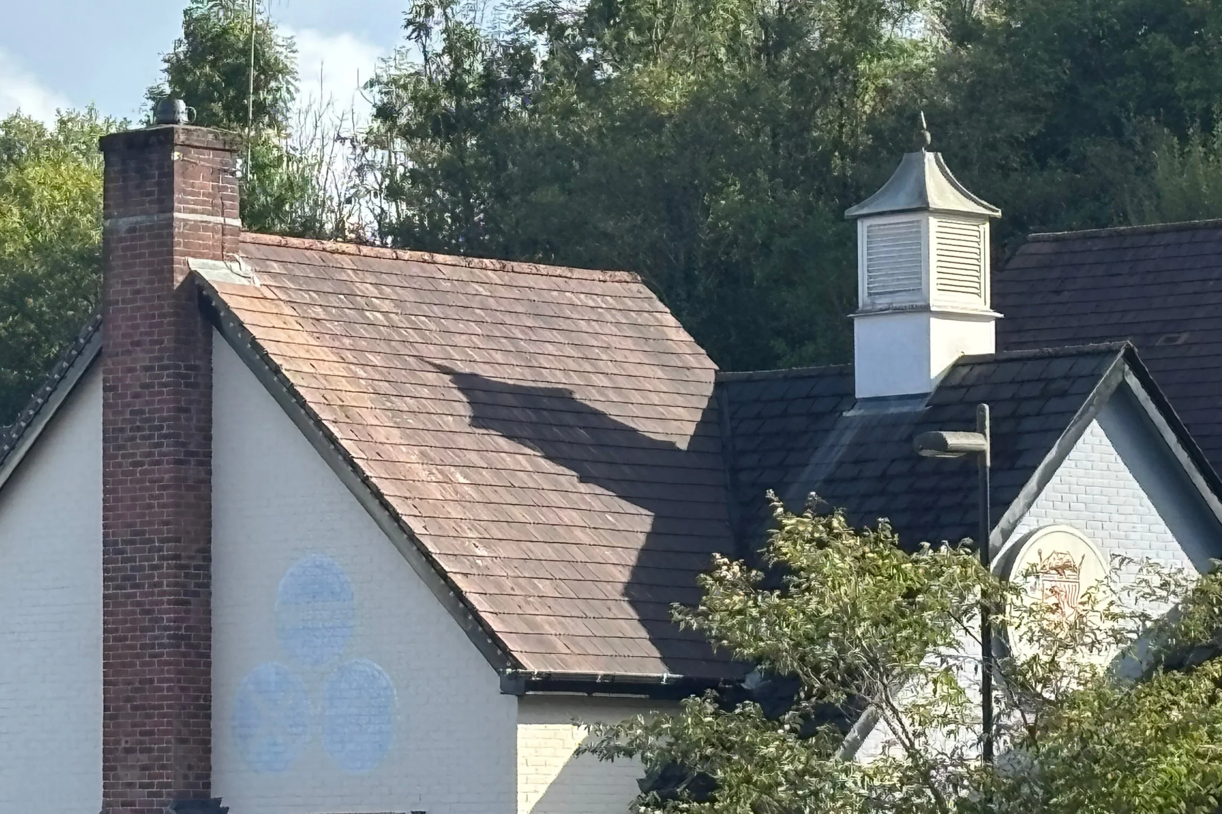 bryn9.jpg
