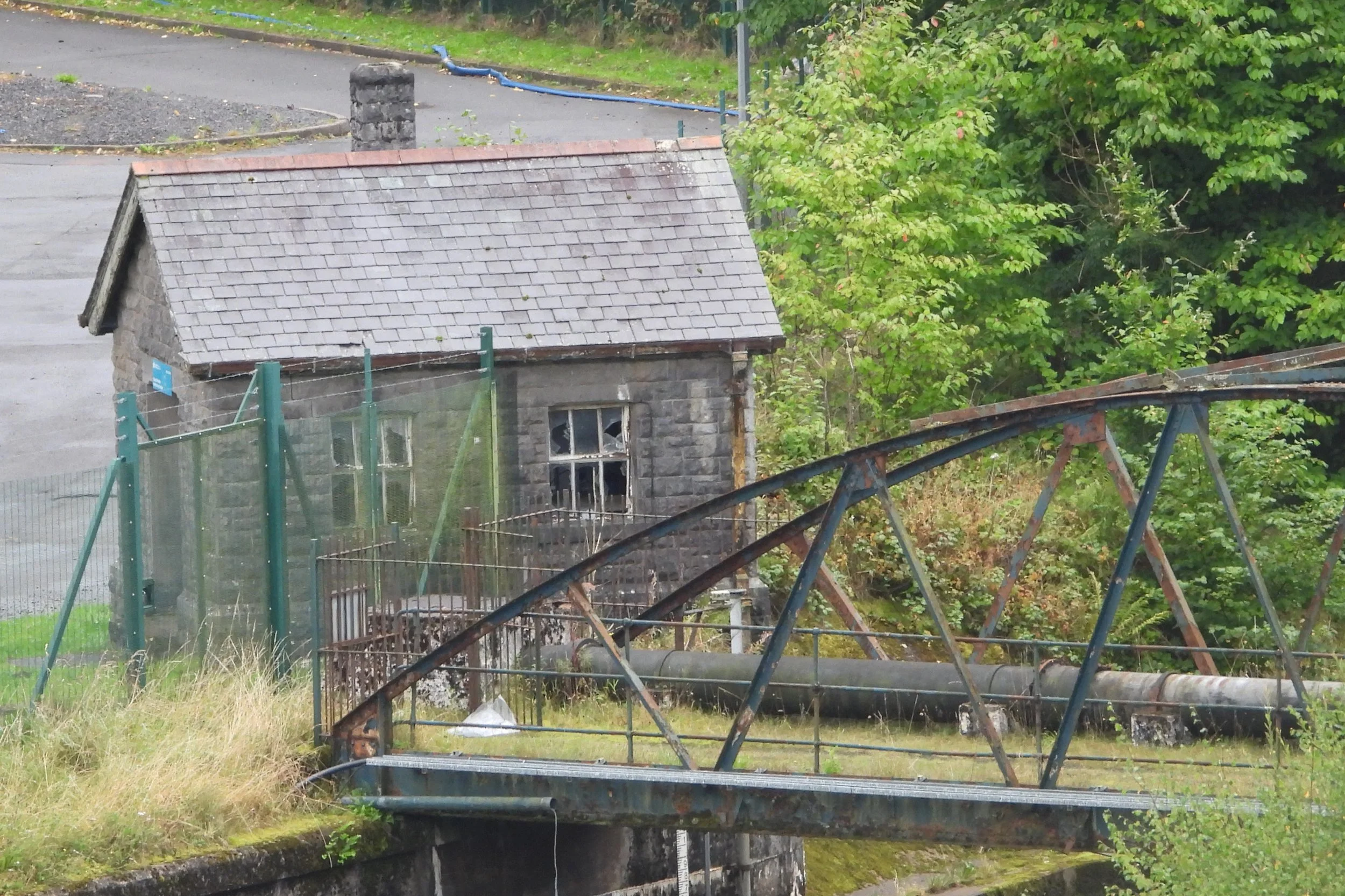 cwm8.jpg