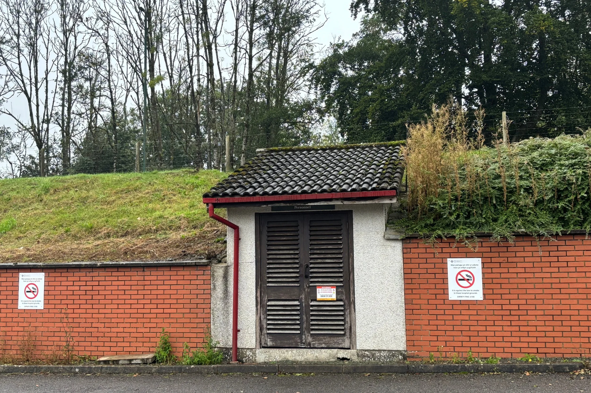EBBW5.jpg
