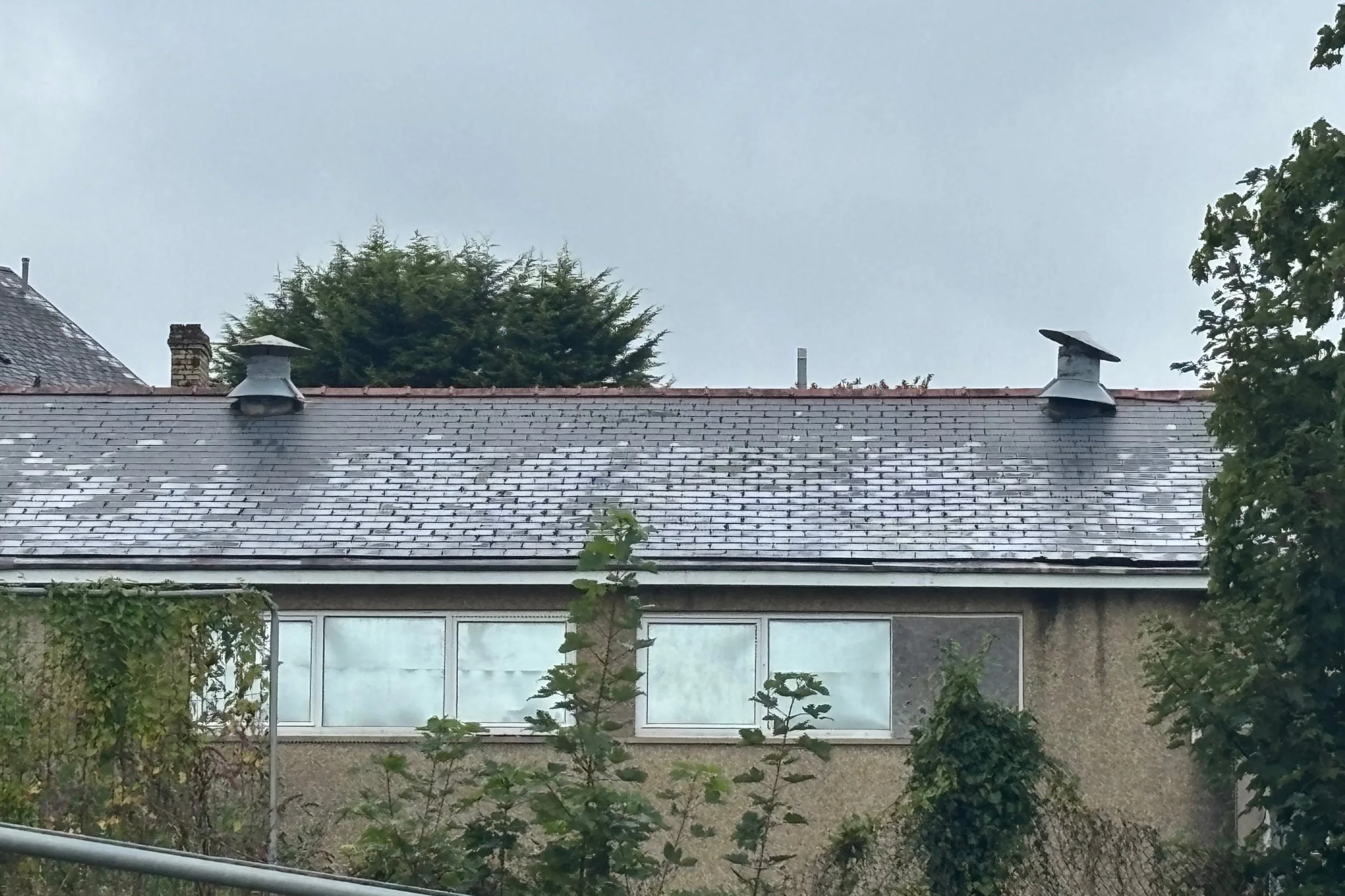 treharris5.jpg
