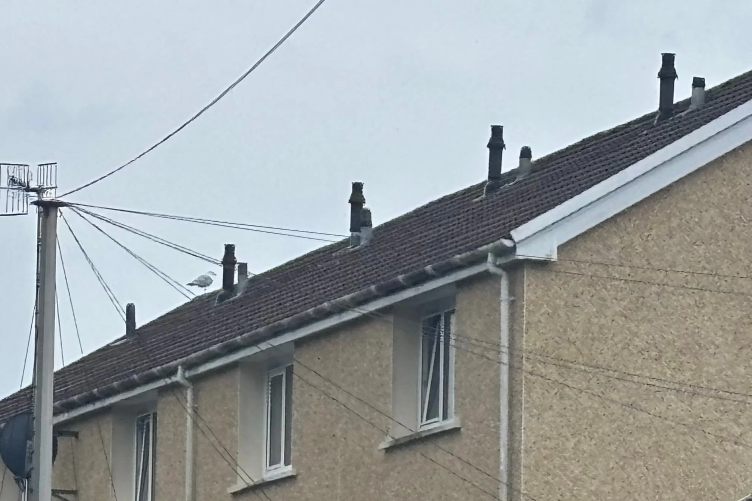 aber7.jpg