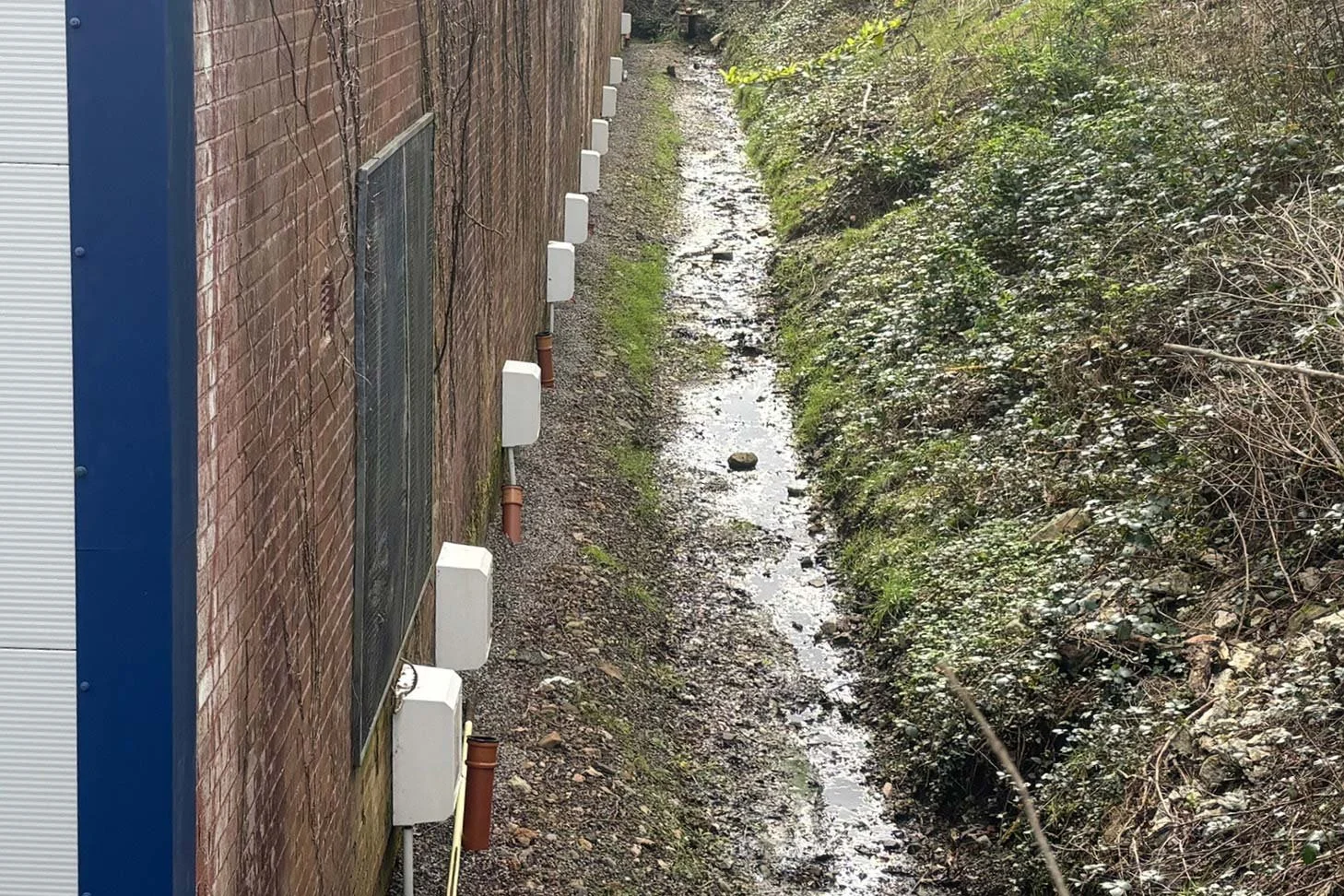 ponty-8.jpg