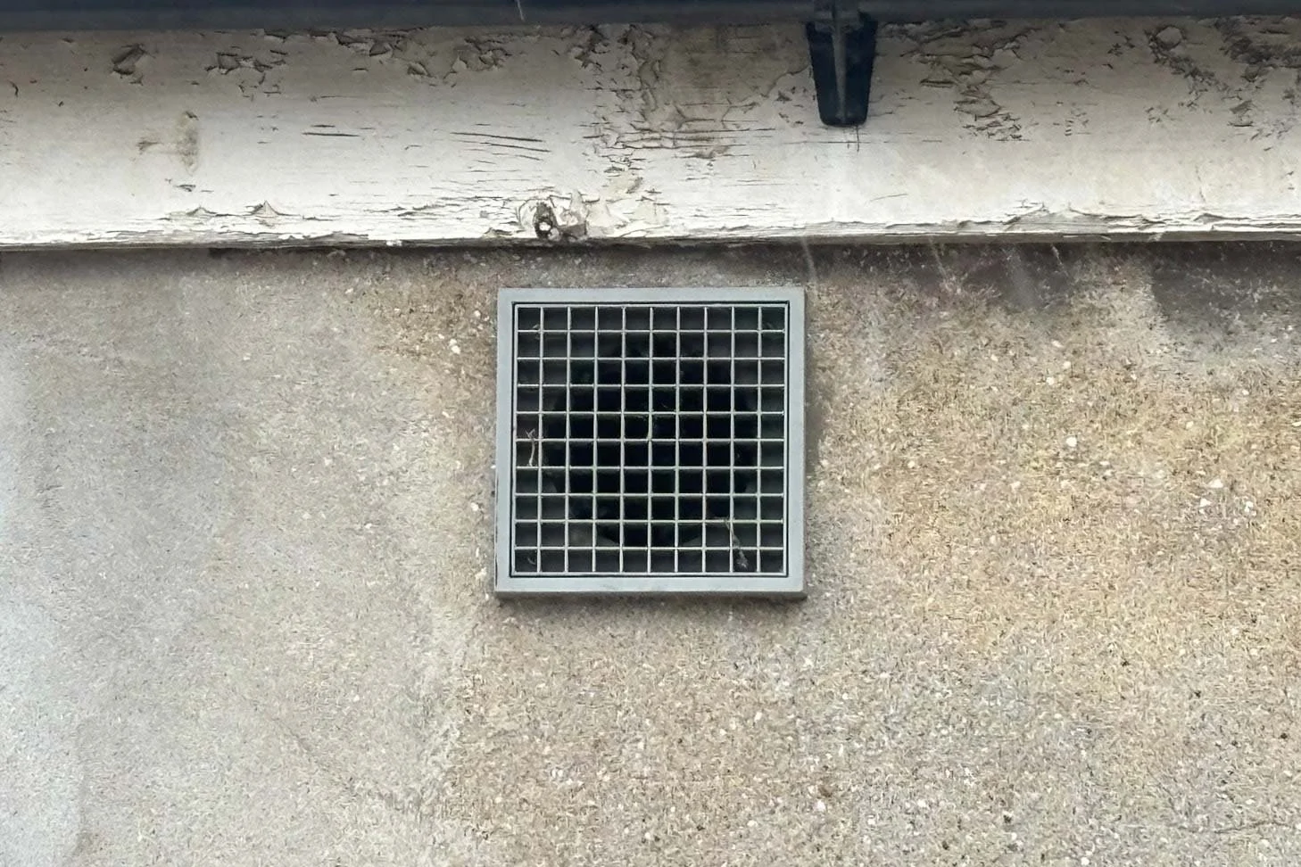 llandaff-30.jpg
