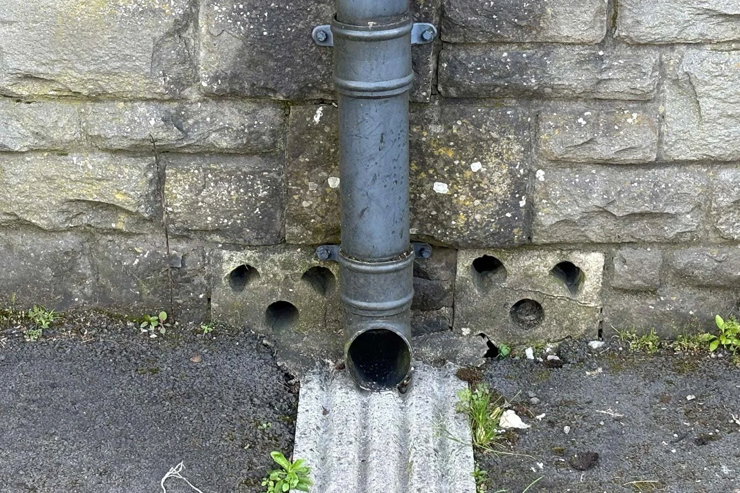 bont-40.jpg