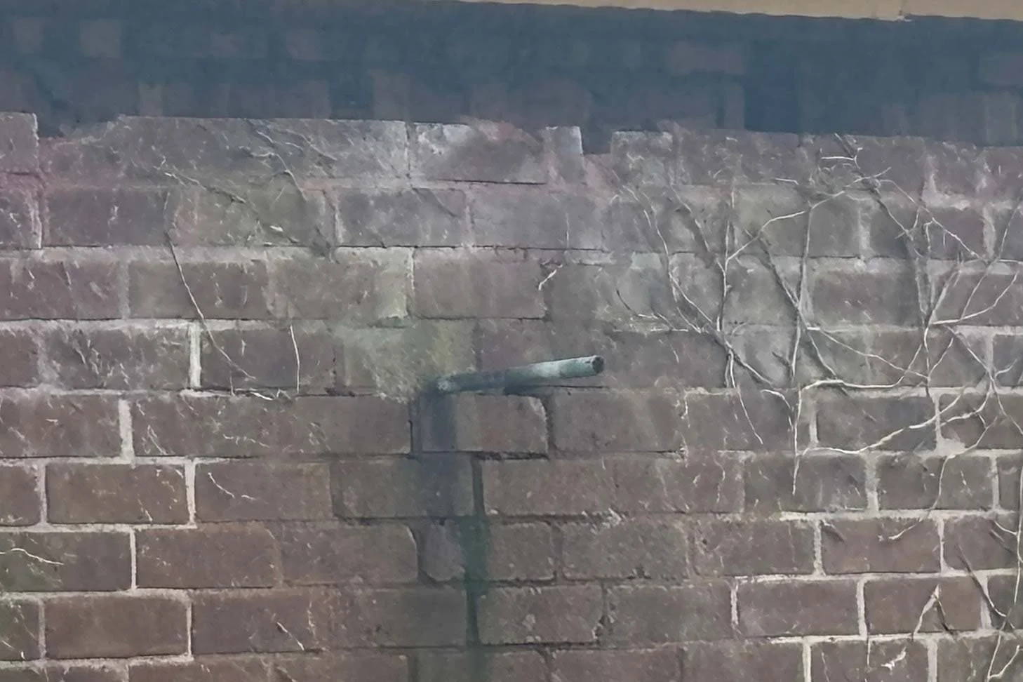 ponty-13.jpg