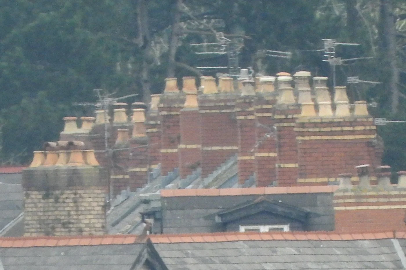 CARDIFF_108.jpg