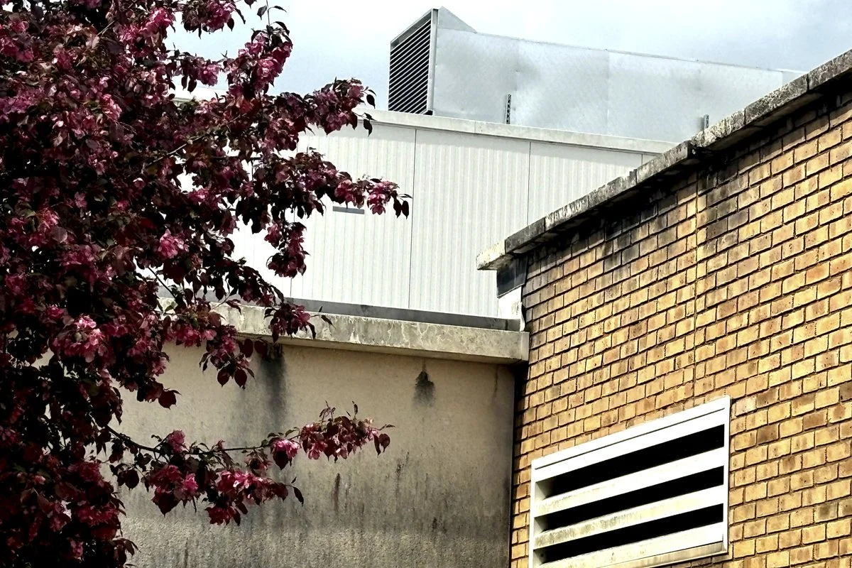 Royal glamorgan hospital_20.jpg