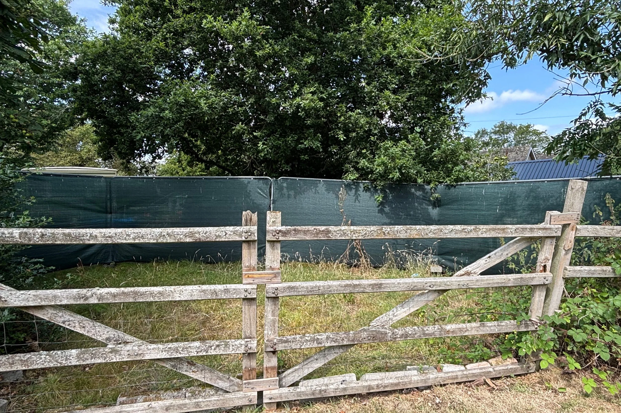 GWERN41.jpg