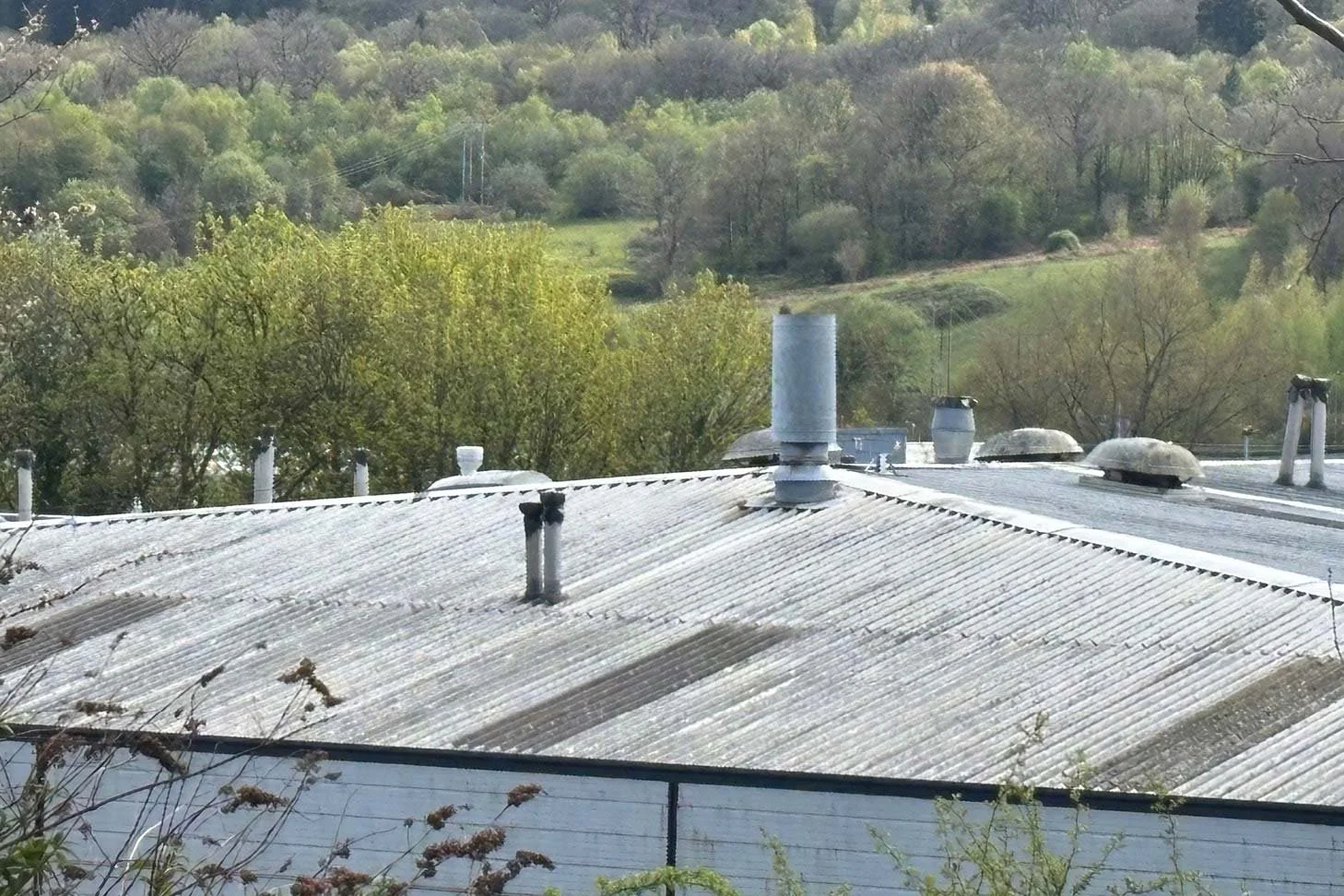 2524-25262.jpg