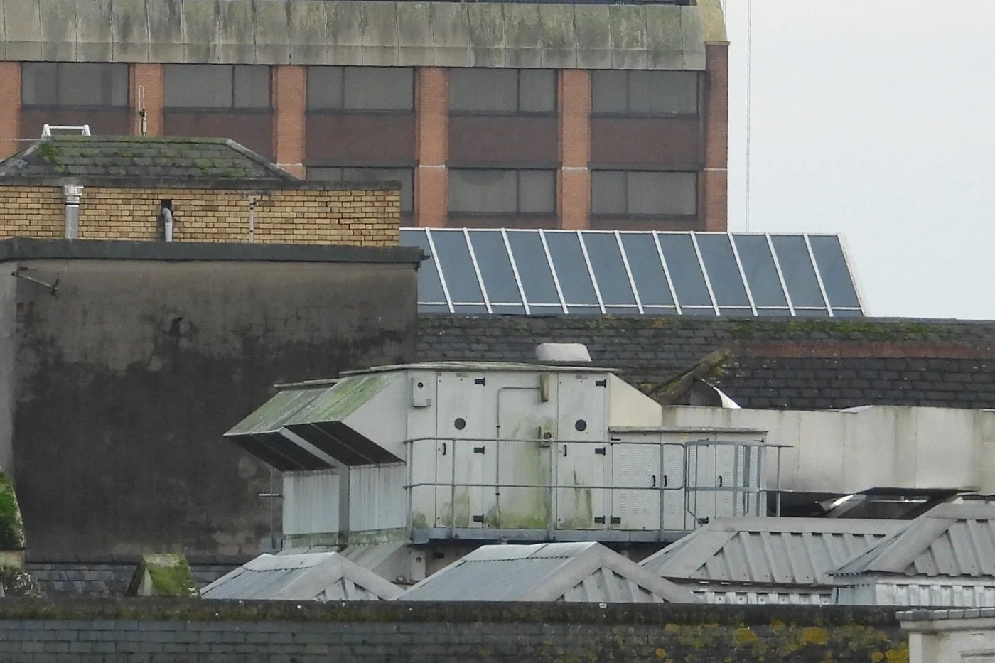 CARDIFF_66.jpg
