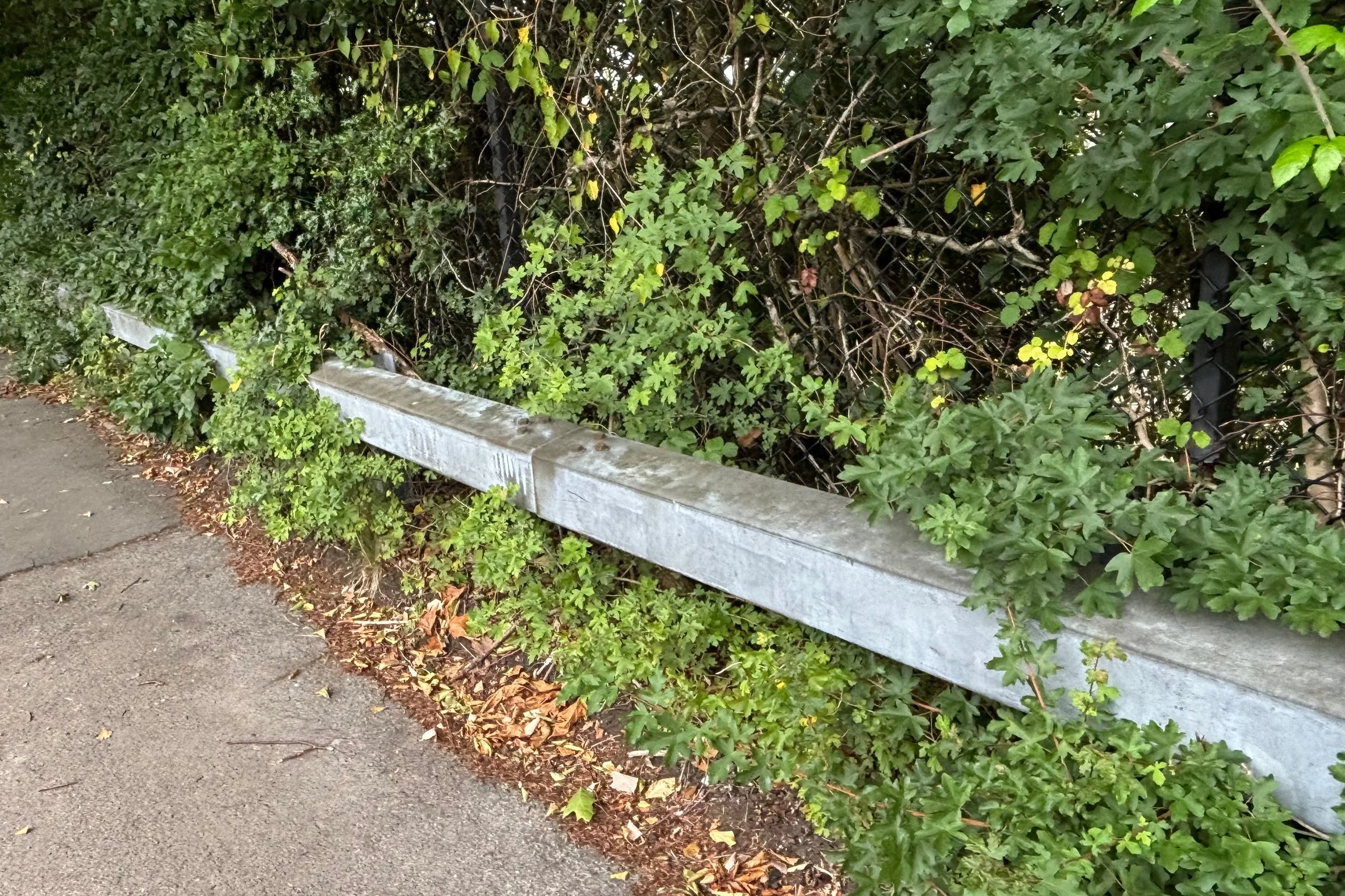 verge2.jpg