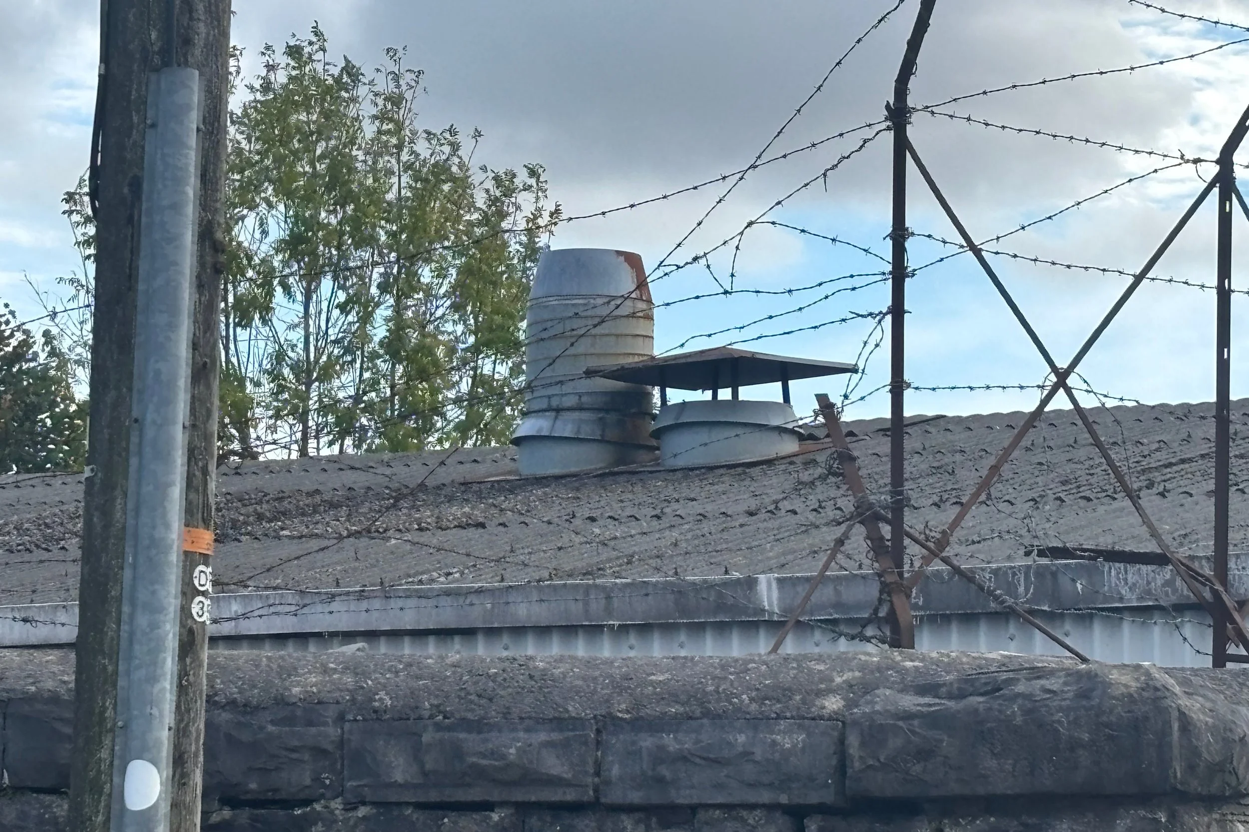 cefn cefn7.jpg