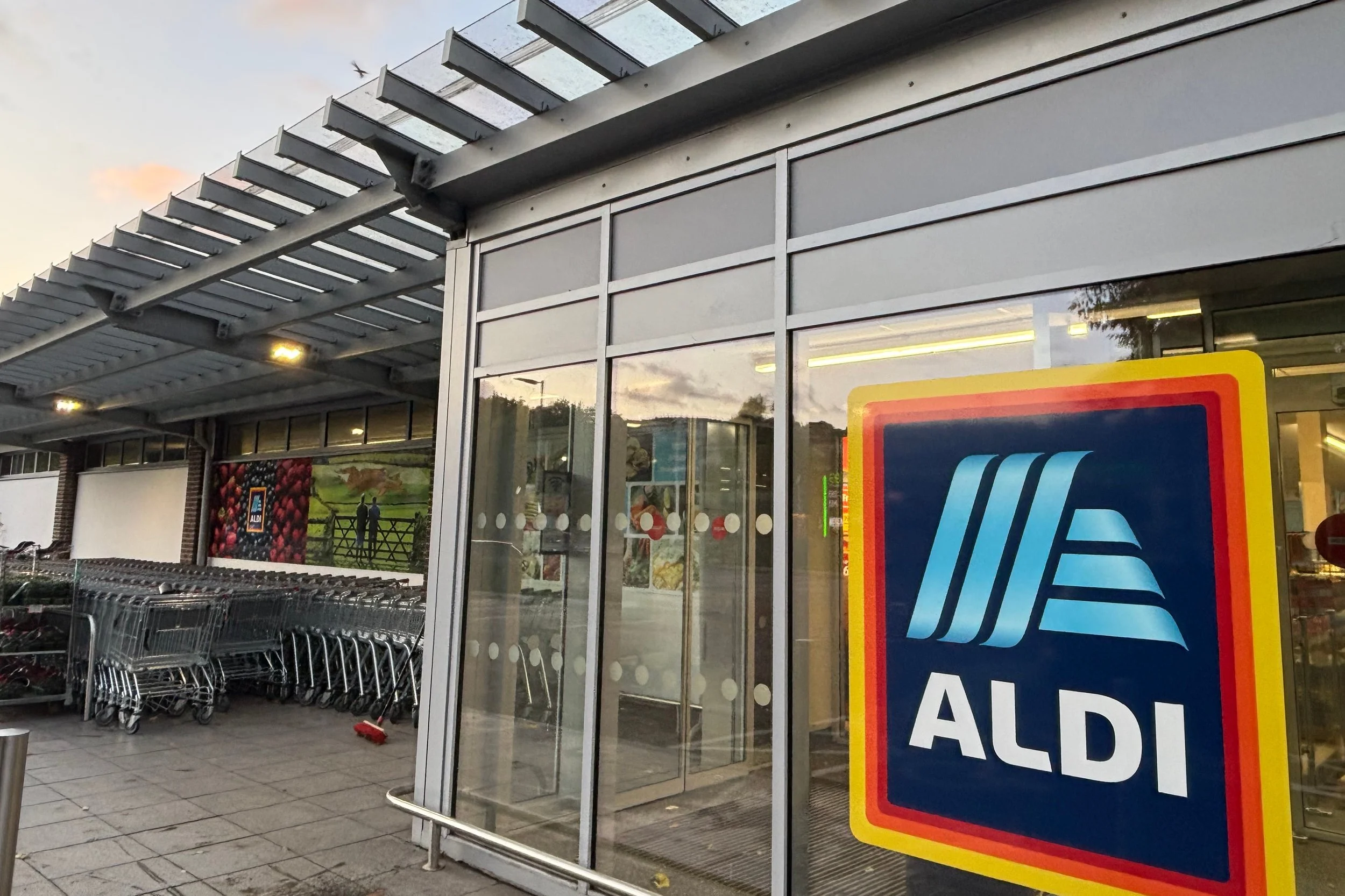 aldi3.jpg