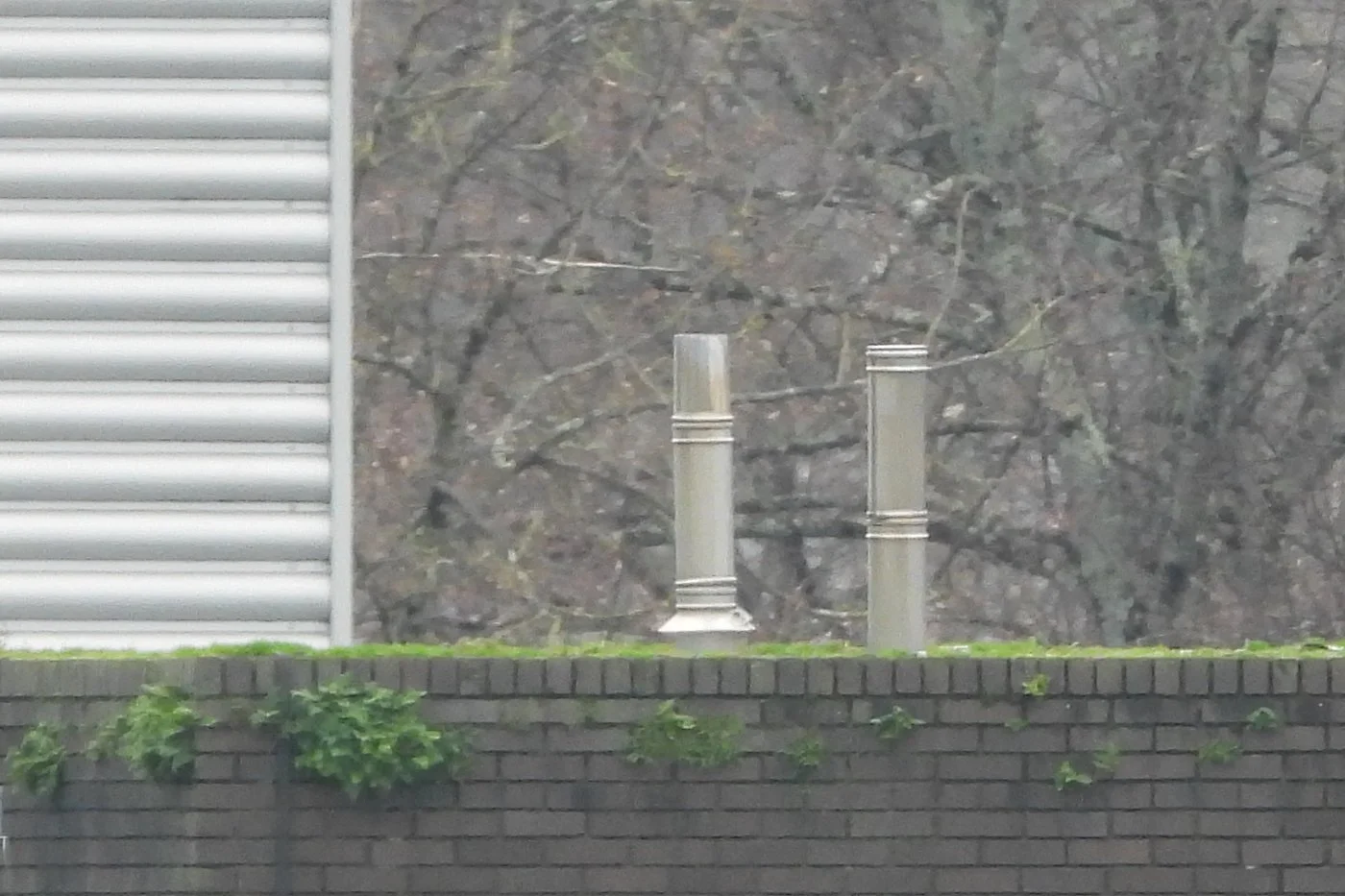 CARDIFF_111.jpg