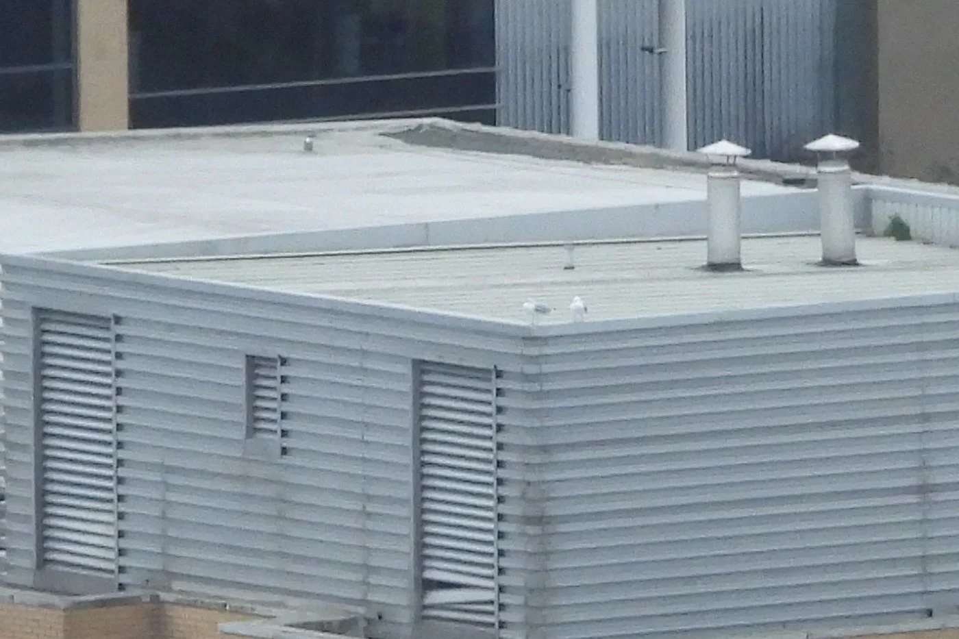 CARDIFF_132.jpg