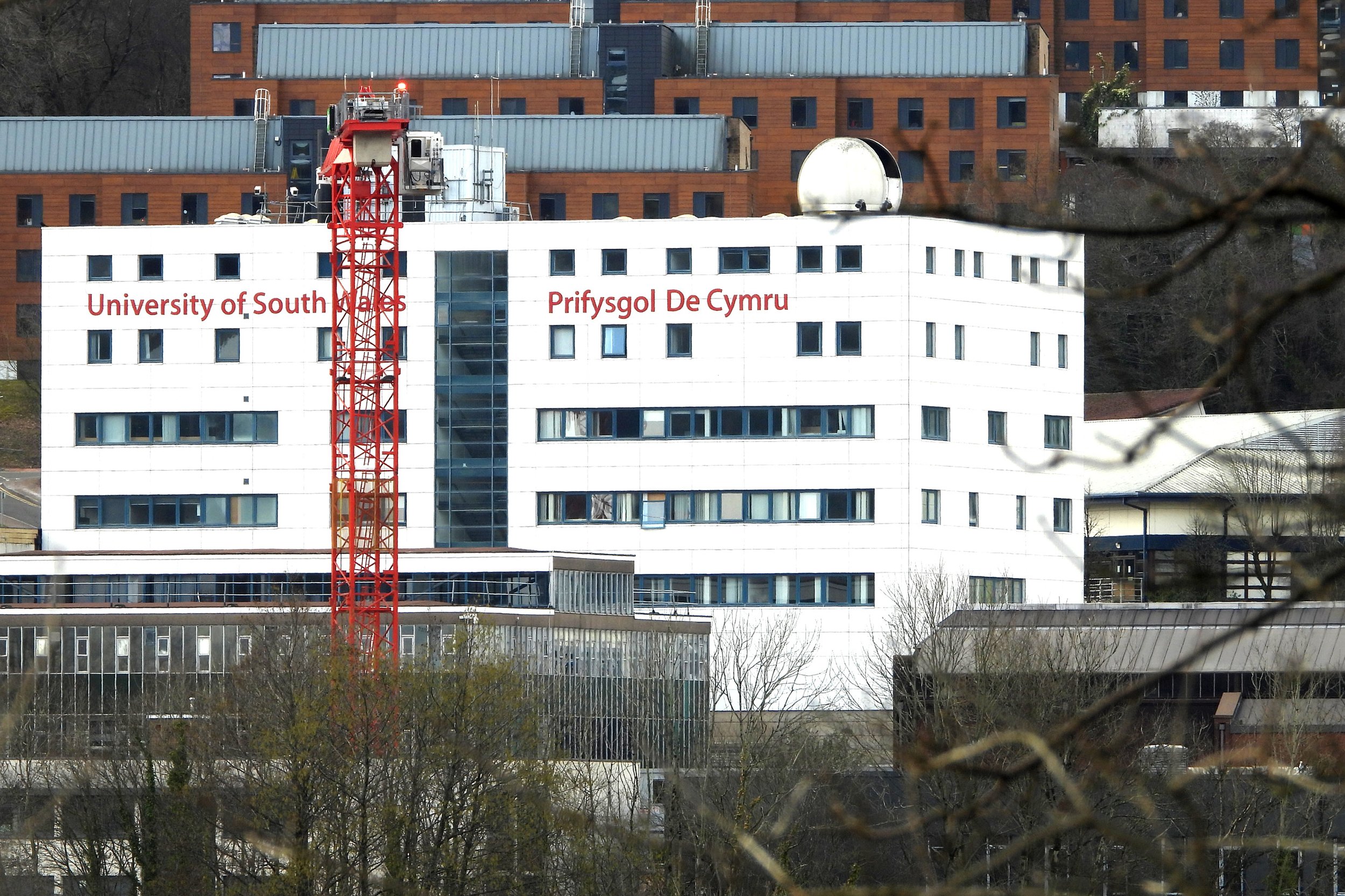 treforest.jpg