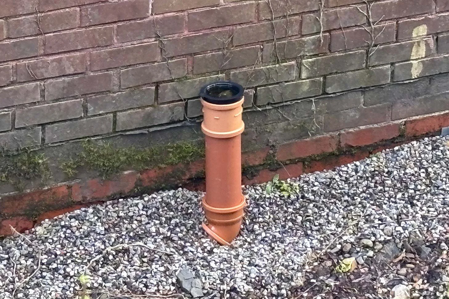 ponty-7.jpg