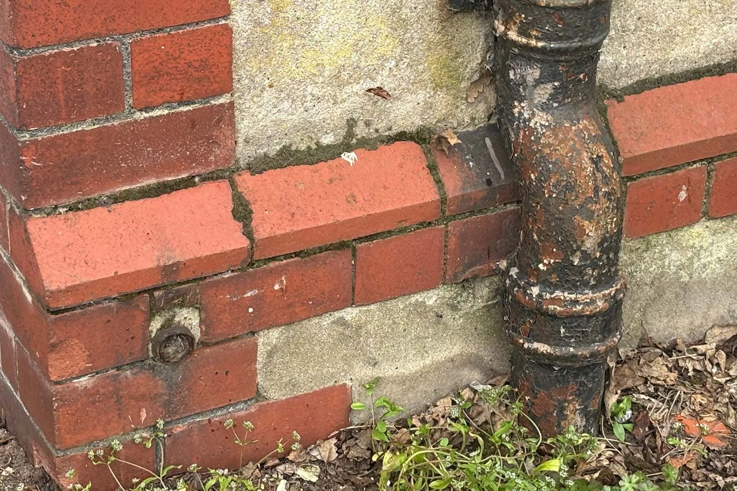 llandaff-19.jpg