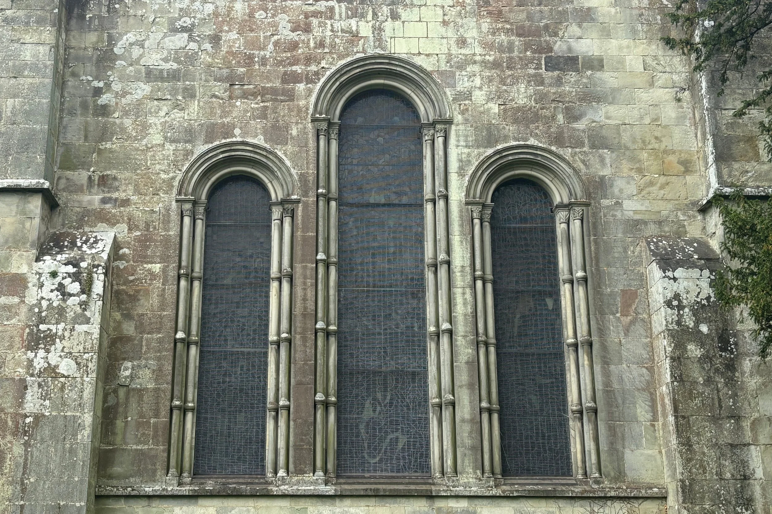 1505-15499.jpg