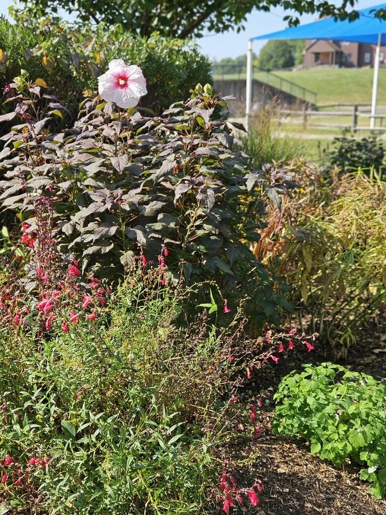 24.9.14.jpg