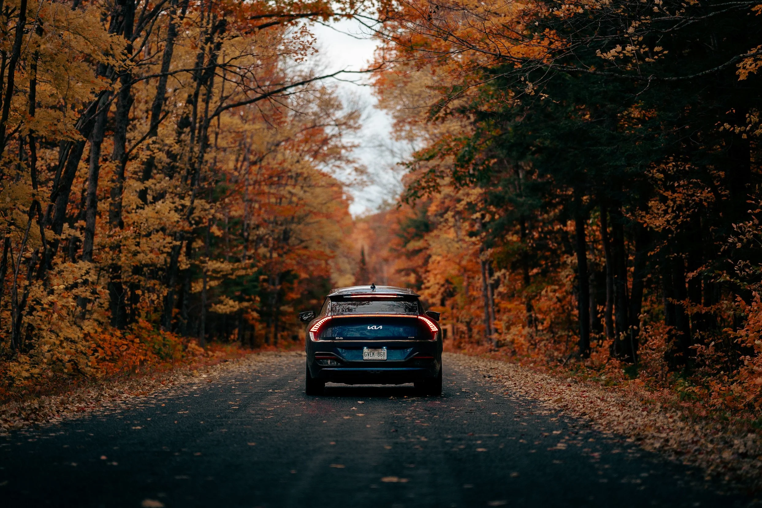 A black Kia car driving down a forested road surrounded by autumn-colored trees with red, orange, and yellow leaves.