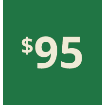 Artboard 1 copy 85@3x.png