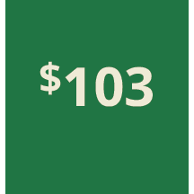 Artboard 1 copy 93@3x.png