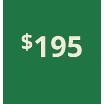 Artboard 1 copy 185@3x.png