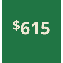 Artboard 1 copy 405@3x.png