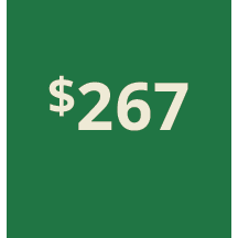 Artboard 1 copy 257@3x.png