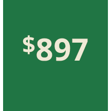 Artboard 1 copy 887@3x.png