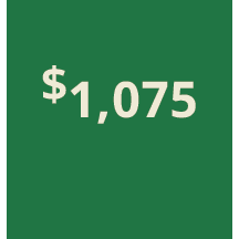 Artboard 1 copy 465@3x.png