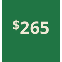 Artboard 1 copy 255@3x.png