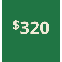 Artboard 1 copy 310@3x.png
