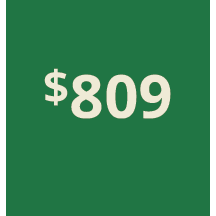 Artboard 1 copy 799@3x.png