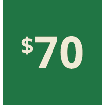 Artboard 1 copy 60@3x.png