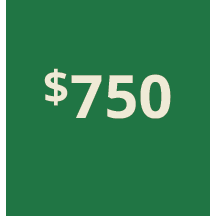 Artboard 1 copy 740@3x.png