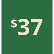 Artboard 1 copy 27@3x-80.jpg