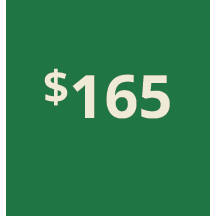 Artboard 1 copy 155@3x.png