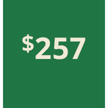 Artboard 1 copy 247@3x.png