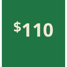 Artboard 1 copy 100@3x.png