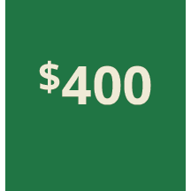 Artboard 1 copy 390@3x.png