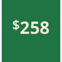 Artboard 1 copy 248@3x.png