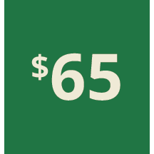 Artboard 1 copy 55@3x.png