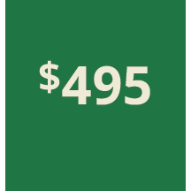 Artboard 1 copy 585@3x.png