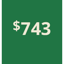 Artboard 1 copy 733@3x.png