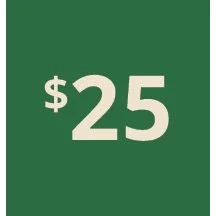 Artboard 1 copy 15@3x-80.jpg