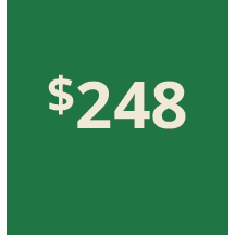 Artboard 1 copy 238@3x.png