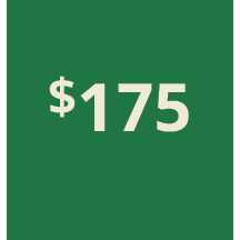 Artboard 1 copy 165@3x.png